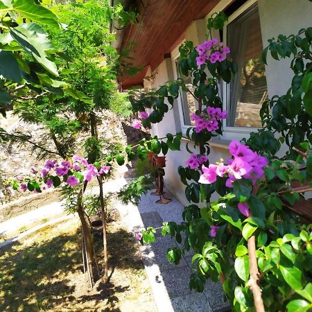 Appartamento Lili House Portorose Esterno foto